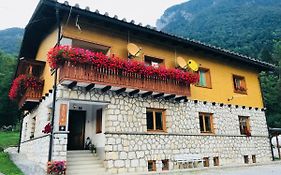 House Berdnik